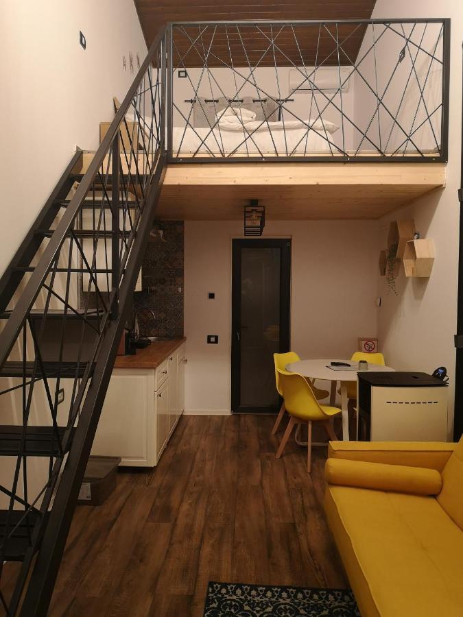 Kopel Haus - Studio - Self Acces Cod Location بالوتيشتي المظهر الخارجي الصورة
